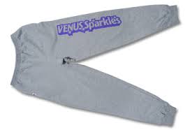 啓明学院高等学校 チアリーディング部 VENUS Sparkles 様 | PLUSTIC Blog