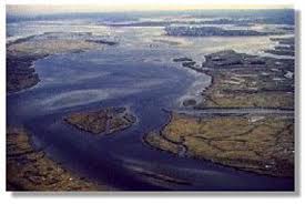 The Plum Island Estuary Microbial