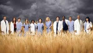 What will Grey's Anatomy's