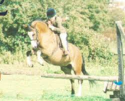 with new rider 8yo Alex