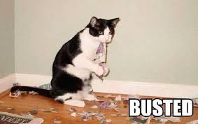 busted jpg