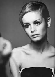 Twiggy Picture 0
