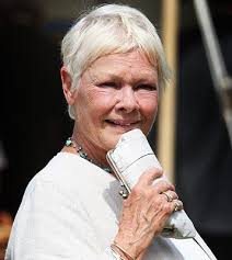 Image Dame <b>Judi Dench</b> at the Picture