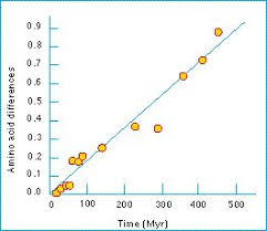   Molecular evolution   and neutral    