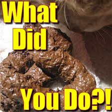 Our very best Deluxe Fake Dog  Poo      