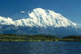 Image from Google