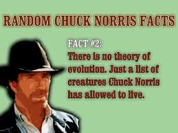 Chuck Norris Image 8de6c <b>chuck< b> <b>norris< b> evolution.jpg Picture 6