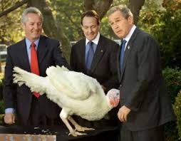 Bush Image <b>bush< b> turkey.jpg Picture 0