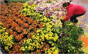Are those flower-power taxis - via Daymix