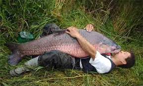Out-of-This-World Fishing
