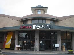 体裁は良くある天然温泉系の健康