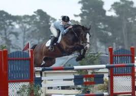 riding horse, Cum Laude Z