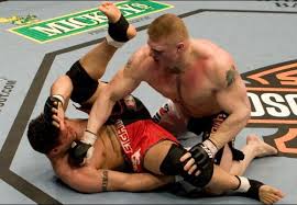 Brock Lesnar's Illness, - via Daymix