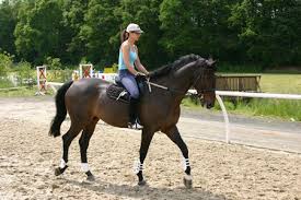 learn how to ride a horse?