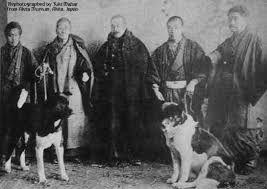 Emperor Taisho x26s  akitas  
