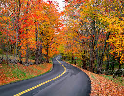 Autumn Road - via Daymix