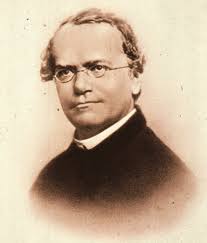 Gregor