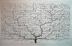 � DNA and a very complex family tree 