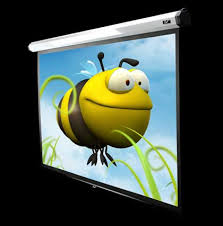 Image provided Elite Screens.