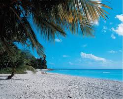Barbados! - via Daymix