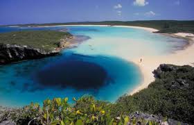 7 Days Bahamas-Florida