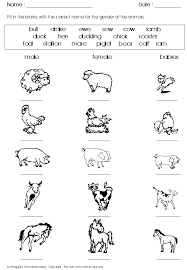   Farm   x26amp  Farm Animals   Themes
