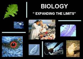 BIOLOGY.jpg