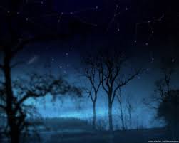 Download Written in the stars