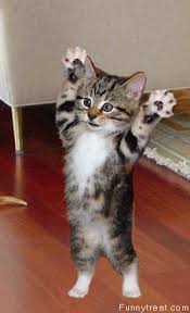 Funny Pics Sorted By - via Daymix