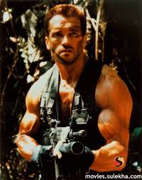 Image <b>Arnold Schwarzenegger</b> Picture