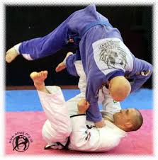 Brazilian  Jiu - Jitsu  is