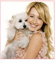 Image <b>Ashley Tisdale& 39;s</b> Starring Picture
