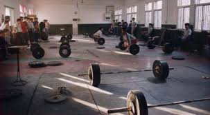   Weight Lifting   Exercises 