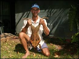 If all  cane   toads were that big they    