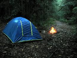 Rainforest Camping | Photo
