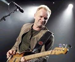 Sting Picture 3