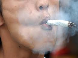 marijuana. - via Daymix