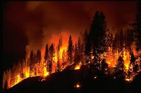 fire