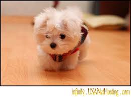 Isn t he adorable in his little