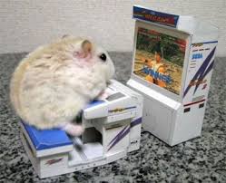 /Hamster-Video-Game-Maze. - via Daymix