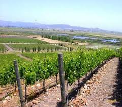 San Francisco Wine Tours - via Daymix