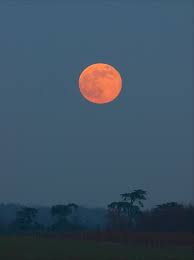 www.africanclassicencounters.com -full moon in africa
