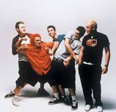 Image Interview – New Found Glory Picture