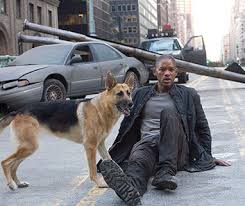 I Am Legend - via Daymix