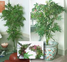 with these fake pot plants
