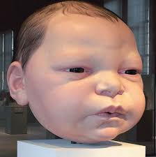 http://mocoloco.com/art/archives/mueck_baby_head_jan_06.jpg
