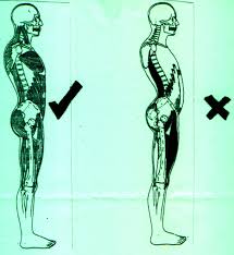 POSTURE AND SEATING - via Daymix
