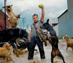 New  Dog Whisperer   Season starts    