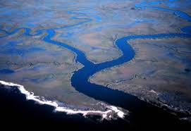 2005 Watershed Estuary Species