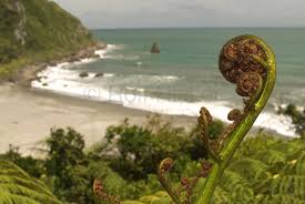 New Zealand Pictures: - via Daymix